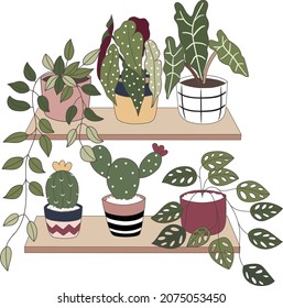  vector set of cute succulent plant with cute pot on wooden board