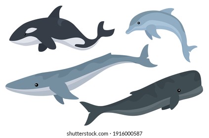 Vector set of cute whales illustrations.