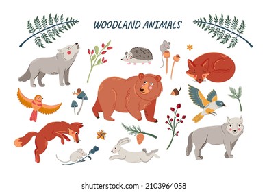 Vector set of cute woodland animals for baby shower and kids design. Collection of forest animals - bear, fox, wolf, rabbit and birds 