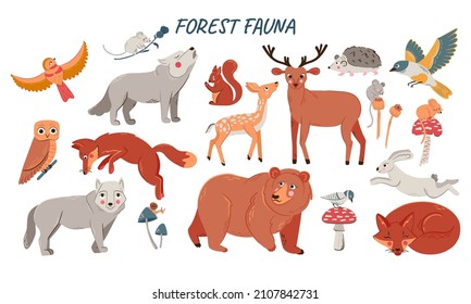 Vector set of cute woodland animals for baby shower and kids design. Collection of forest animals - bear, fox, wolf, rabbit and birds 