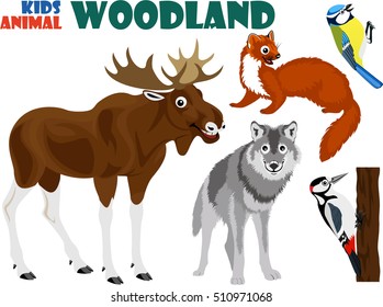 vector set of cute woodland kids animals
