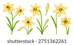 Vector set of cute yellow daffodil flowers and buds. Bright spring narcissus illustration for seasonal greeting card, easter design, wedding invite, packaging, pattern, logo and garden decor.