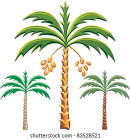vector set of the date palm trees, Various color options