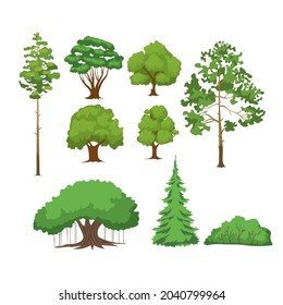 Vector set of deciduous and coniferous trees isolated on a white background.