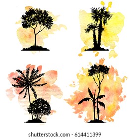 vector set of deciduous exotic trees, palms at watercolor background, hand drawn isolated natural elements