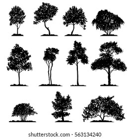 vector set of deciduous trees, hand drawn isolated natural elements svg