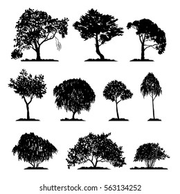 vector set of deciduous trees, hand drawn isolated natural elements