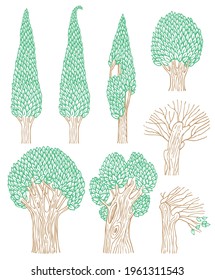 Vector set of deciduous trees isolated on a white background. Colored contour drawings of forest plants in a flat cartoon style. Old stylized trees with thick trunks and green leaves