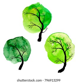 vector set of deciduous trees with watercolor foliage, hand drawn isolated natural elements