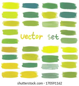 Vector set of decor elements in green and yellow colors. Realistic brush strokes