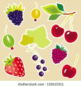Vector set of decorative berries sticker on aged background