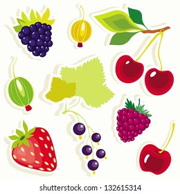 Vector set of decorative berries sticker.
