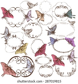 Vector set of decorative calligraphic frames and butterflies for design