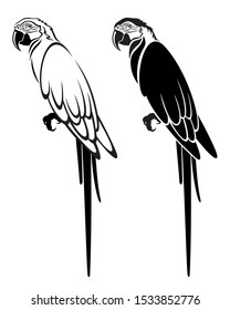 Vector set of decorative, detailed, isolated, sitting parrots in black color, on white background. Outline and silhouette. 