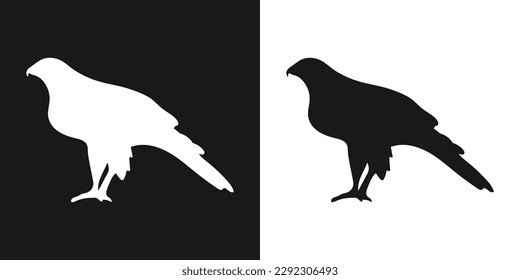 Vector set of decorative, detailed, isolated falcon in black on white background