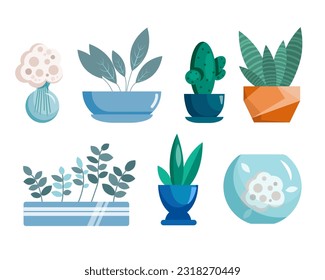 Vector set of decorative indoor plants in flower pots. Potted plants for home and interior. Indoor plants isolated on a white background