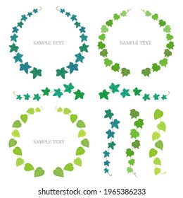 Vector set of decorative ivy leaves and ivy vines.