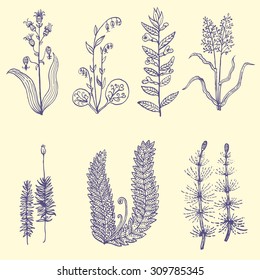 Vector set of decorative plants. 