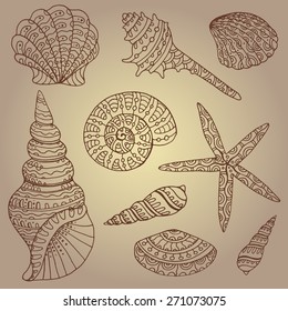 Vector set of decorative seashells in vintage style