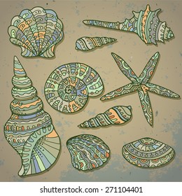 Vector set of decorative seashells in vintage style.