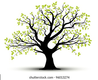 vector set - decorative tree and green leaves with shadow