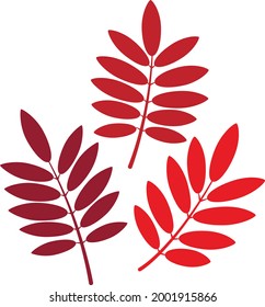 Vector set : deep red  rowan leaves.  Isolated on white elements for autumn design of card, poster, invitation, illustration