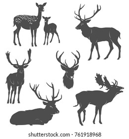 Vector set of deer silhouettes in different poses on white background