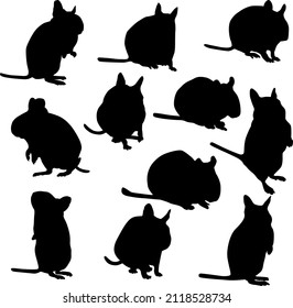 Vector set of Degu silhouettes. Black icons of chilean squirrel in different poses.