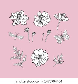 Vector set of delicate flowers and butterflies on a pink background. Collection of leaves and cosmos flowers for invitation design, greeting card, design fabric pattern, gift wrapping, packing, site