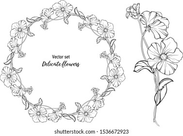 Vector set. Delicate flowers. graphic Botanical, delicate romantic graphic elements