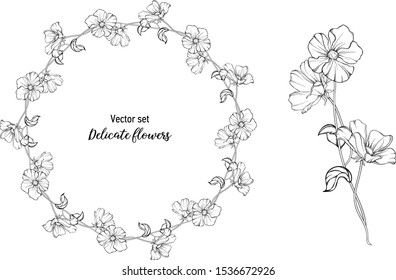 Vector set. Delicate flowers. graphic Botanical, delicate romantic graphic elements