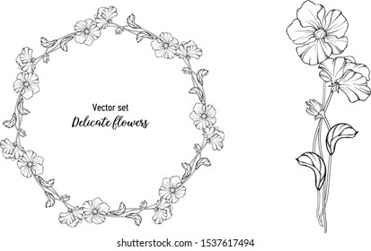 Vector set. Delicate flowers. graphic Botanical, delicate romantic graphic elements