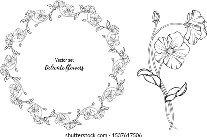 Vector set. Delicate flowers. graphic Botanical, delicate romantic graphic elements