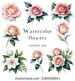 Vector set of delicate hand drawn watercolor flowers on isolated background. Ideal for designing wedding invitations, greeting cards, patterns and more.

