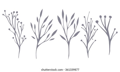 Vector set of delicate leaves and herbs for your creativity