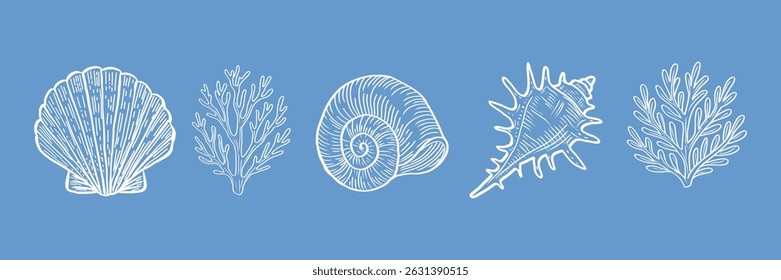 Conjunto vetorial de delicados elementos oceânicos. Conchas, plantas de coral e estrelas-do-mar em branco sobre azul profundo.