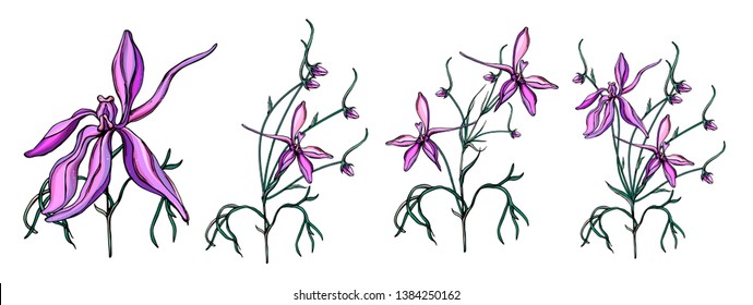 vector set with delicate purple wildflowers.