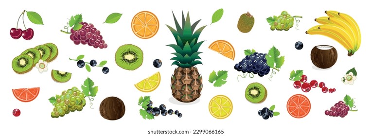 Vector set of delicious fruits and berries on a white background. Kiwi, lemon, orange, pineapple, grape, currant, red currant, black currant, blueberry, coconut, banana, cherry, berries.