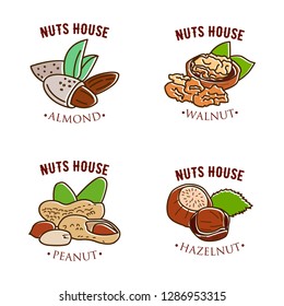Vector set design colorful templates logo and emblems - nuts, Almond, Walnut, Hazelnut, peanut. 
Food icon. Logos in trendy linear style isolated on white background - Vector.