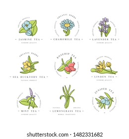 Vector set design colorful templates logo and emblems - organic herbs and teas. Different teas icon. Logos in trendy linear style isolated on white background