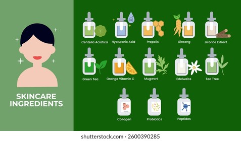 Vector set of design elements, icons, and badges for natural and organic cosmetics skincare ingredients. Centella asiatica, niacinamide, Collagen, Hyaluronic Acid, ginseng, mugwort, etc.