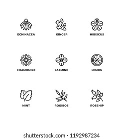 Vector Set Of Design Elements, Logo Design Template, Icons And Badges For The Flavor Of Organic Tea. Line Icon Set, Editable Stroke. 