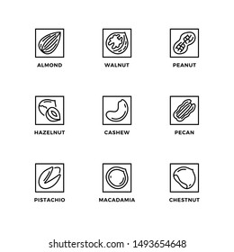 Vector set of design elements, logo design template, icons and badges for nuts. Line icon set, editable stroke. 