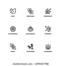 Vector set of design elements, logo design template, icons and badges for nature herbs. Line icon set, editable stroke. 