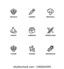 Vector set of design elements, logo design template, icons and badges for healthy vegetable. Line icon set, editable stroke. 