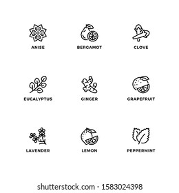 Vector set of design elements, logo design template, icons and badges for editable essential oils. Line icon set, editable stroke. 