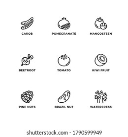 Vector set of design elements, logo design template, icons and badges for super food. Line icon set, editable stroke. 