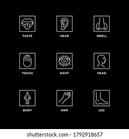 Vector set of design elements, logo design template, icons and badges for senses. Line icon set, editable stroke. 