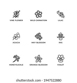 Vector set of design elements, logo design template, icons and badges for herbs and plants. Line icon set, editable stroke.