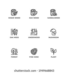 Vector set of design elements, logo design template, icons and badges for forest. Line icon set, editable stroke.